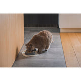 Castron, bol, plat, pentru caine, pisica, suporti antiderapanti, PET reciclat, gri deschis, 13x13x3.6 cm