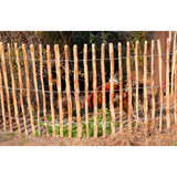 Gard de gradina din lemn de alun, distantat 4-6 cm, 500x100 cm