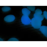 Pietre de gradina, fosforescente, albastre, set 100 buc, 2/3 cm