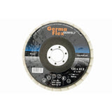 Disc pasla lamelar, 125x10x22.2 mm